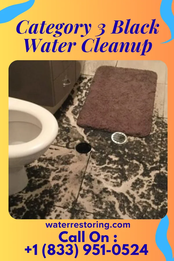 Category 3 Black Water Cleanup in Lucedale, MS
