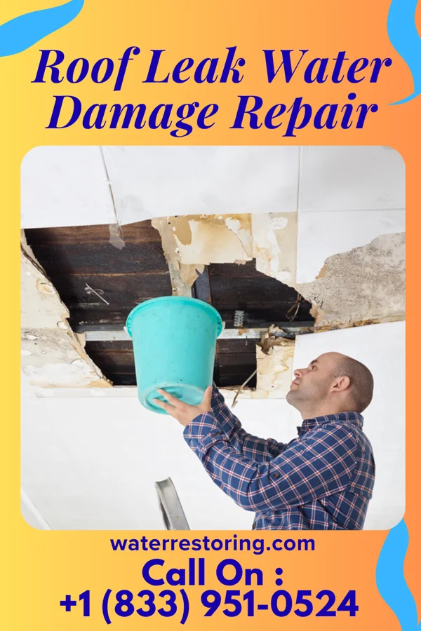 Roof Leak Water Damage Repair in Lucedale, MS